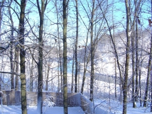 Trophy Real Estate Auction featured photo 23