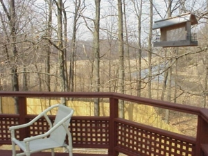 Trophy Real Estate Auction featured photo 24