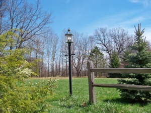 Trophy Real Estate Auction featured photo 84