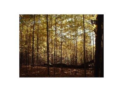 18419 Townline Rd  St Charles MI featured photo