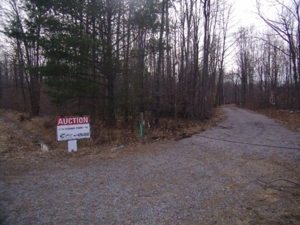 18419 Townline Rd  St Charles MI featured photo 3