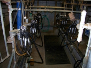 Bissell Farm Machinery Auction featured photo 28