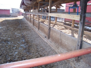 Bissell Farm Machinery Auction featured photo 36