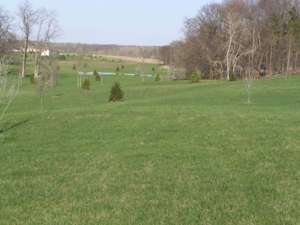 Miller Seeding & Landscaping featured photo 4