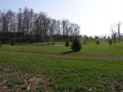 Miller Seeding & Landscaping featured photo 7