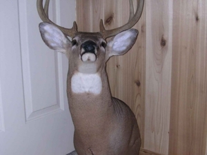 Miller Seeding & Landscaping featured photo 64