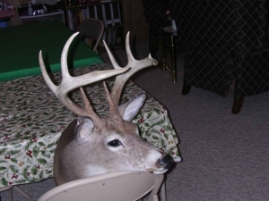 Miller Seeding & Landscaping featured photo 61