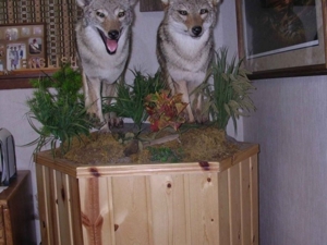 Miller Seeding & Landscaping featured photo 65