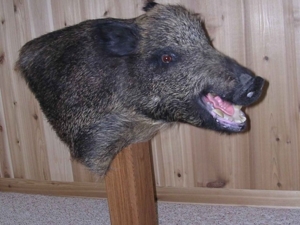 Miller Seeding & Landscaping featured photo 62