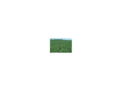 Northwood Mobile Homes Estates, Owosso, MI 48867 featured photo 2