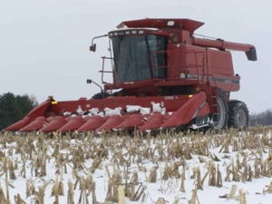 Lawless Farm Auction featured photo 3