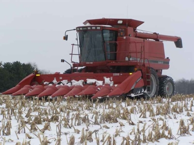 Lawless Farm Auction featured photo