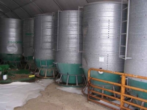 Lawless Farm Auction featured photo 28