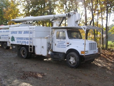 Express Tree Service featured photo 2