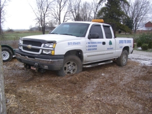 Express Tree Service featured photo 5
