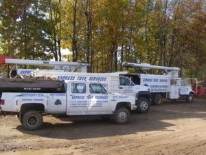 Express Tree Service featured photo 15
