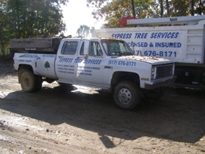 Express Tree Service featured photo 17