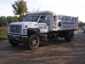 Express Tree Service featured photo 19