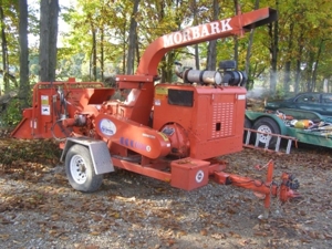 Express Tree Service featured photo 40