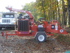 Express Tree Service featured photo 43