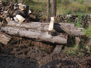 Express Tree Service featured photo 38