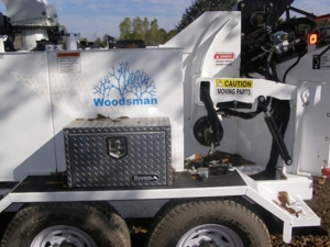 Express Tree Service featured photo 58