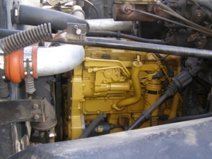 Express Tree Service featured photo 65