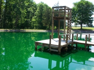 Absolute Living Waters International Church & Chattel Auction featured photo 12