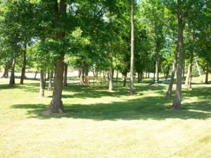 Absolute Living Waters International Church & Chattel Auction featured photo 43