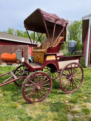 Steve Klink Collection - Horse Carriages, Tack and Equipment featured photo 3