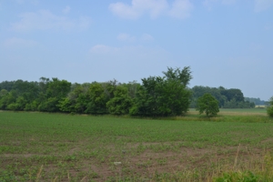 80A offered in 2 Tracts, Beard Rd, Shiawassee County featured photo 6