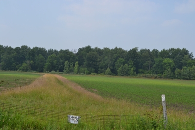 80A offered in 2 Tracts, Beard Rd, Shiawassee County featured photo 8