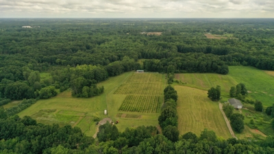 Eschol Valley 40+/- Acre Farm Land Auction, Haslett, Shiawassee County featured photo 3