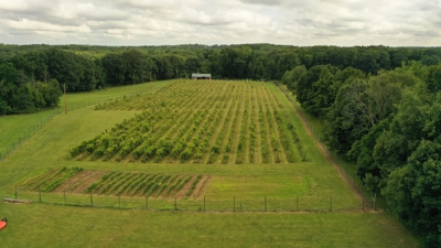 Eschol Valley 40+/- Acre Farm Land Auction, Haslett, Shiawassee County featured photo 1