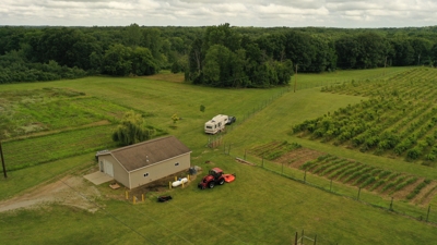 Eschol Valley 40+/- Acre Farm Land Auction, Haslett, Shiawassee County featured photo 4