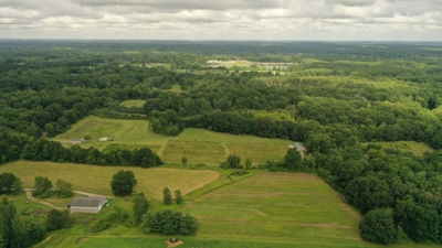 Eschol Valley 40+/- Acre Farm Land Auction, Haslett, Shiawassee County featured photo 7