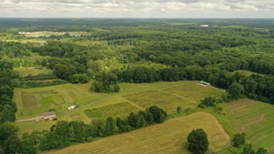 Eschol Valley 40+/- Acre Farm Land Auction, Haslett, Shiawassee County featured photo 8