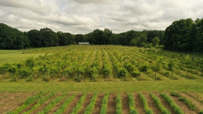 Eschol Valley 40+/- Acre Farm Land Auction, Haslett, Shiawassee County featured photo 9