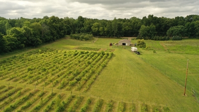 Eschol Valley 40+/- Acre Farm Land Auction, Haslett, Shiawassee County featured photo 10