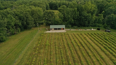 Eschol Valley 40+/- Acre Farm Land Auction, Haslett, Shiawassee County featured photo 11