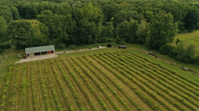 Eschol Valley 40+/- Acre Farm Land Auction, Haslett, Shiawassee County featured photo 12