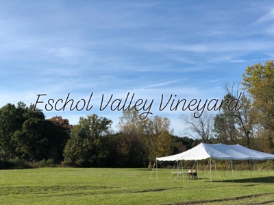 Eschol Valley 40+/- Acre Farm Land Auction, Haslett, Shiawassee County featured photo 2