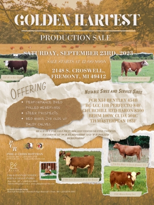 Golden Harvest Production Sale featured photo 1