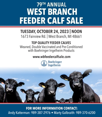 79th Annual West Branch Feeder Calf Sale featured photo 1