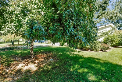 3 Bedroom, 1 Bathroom, 1144sf home in Mason- 841 Warner St. featured photo 2