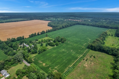 289A with 255A tillable, in 4 tracts, Jackson County, MI featured photo 8