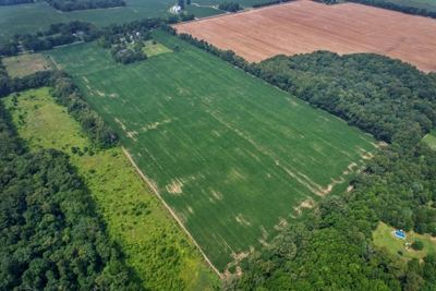 289A with 255A tillable, in 4 tracts, Jackson County, MI featured photo 10