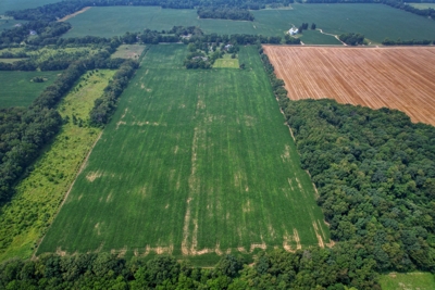 289A with 255A tillable, in 4 tracts, Jackson County, MI featured photo 11