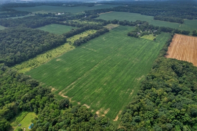 289A with 255A tillable, in 4 tracts, Jackson County, MI featured photo 12