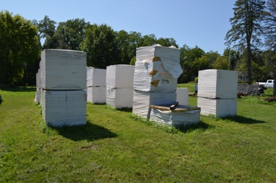 Jones Inventory Reduction, Haslett featured photo 8